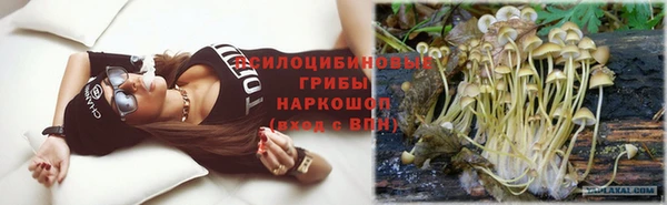стафф Карпинск
