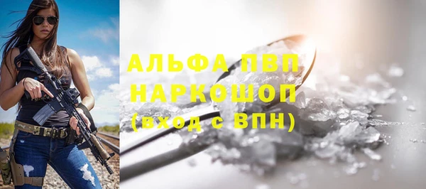 стафф Карпинск