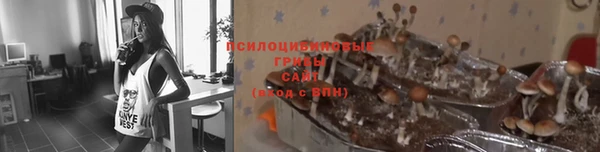 стафф Карпинск