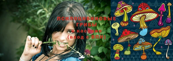 дмт Карталы