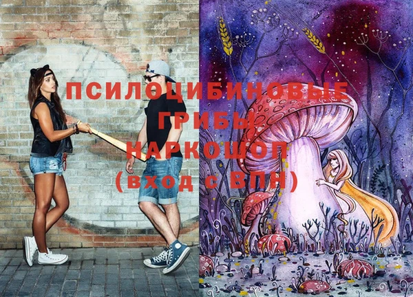 стафф Карпинск