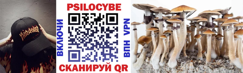 Псилоцибиновые грибы MAGIC MUSHROOMS  Купить  Выборг 
