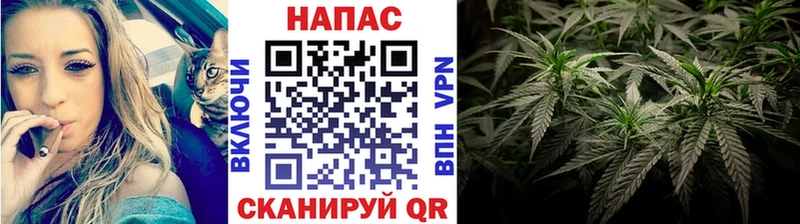 Бошки Шишки план  Купить  Выборг 